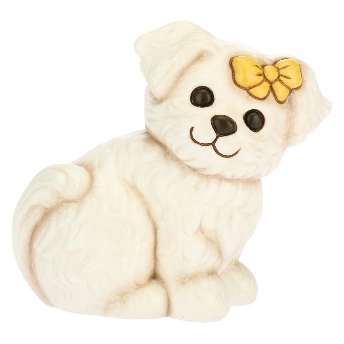Thun - cane maltese