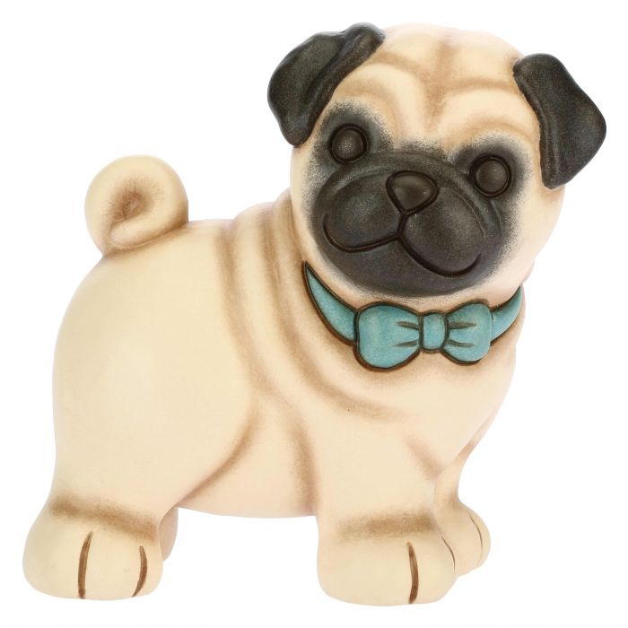 thun - cane carlino
