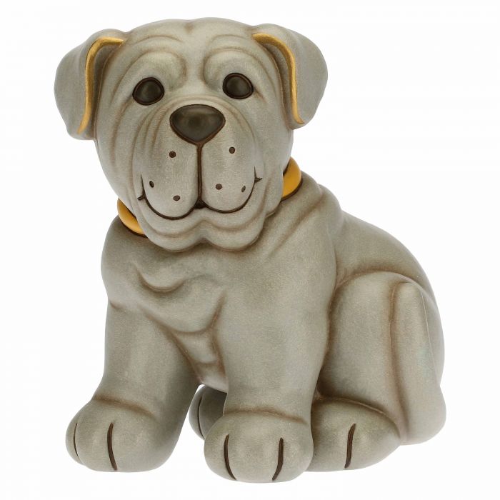 Cane mastino napoletano medio