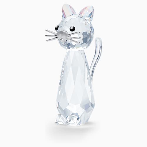 GATTO RIEDIZIONE