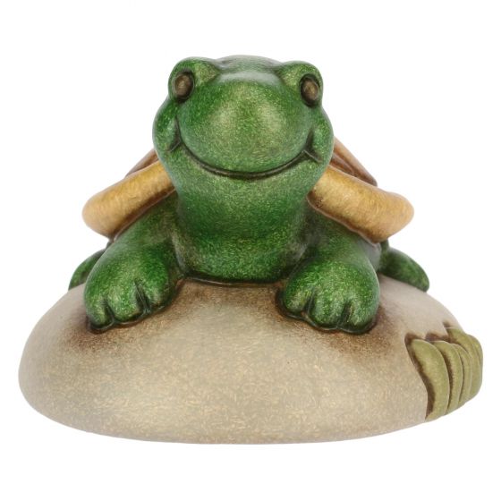 Mini tartaruga