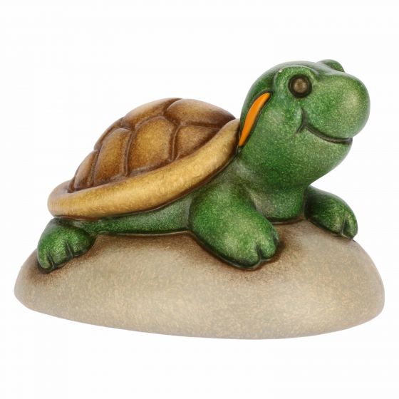 Mini tartaruga - immagine 2