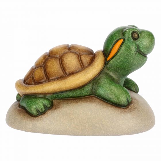 Mini tartaruga - immagine 3