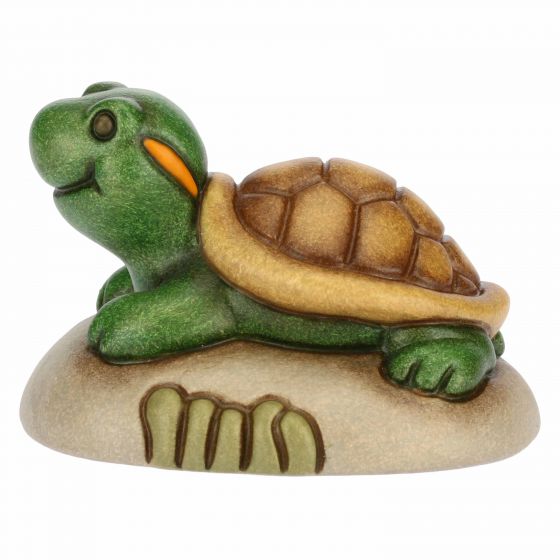 Mini tartaruga - immagine 4