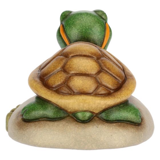 Mini tartaruga - immagine 5