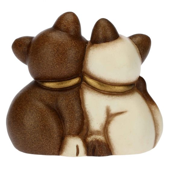 Coppia gatti mini - immagine 3
