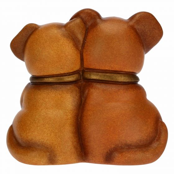 Coppia cani mini - immagine 4