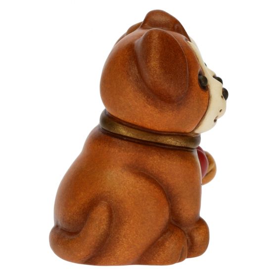 Coppia cani mini - immagine 5