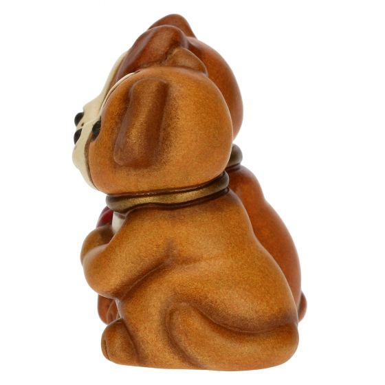Coppia cani mini - immagine 3