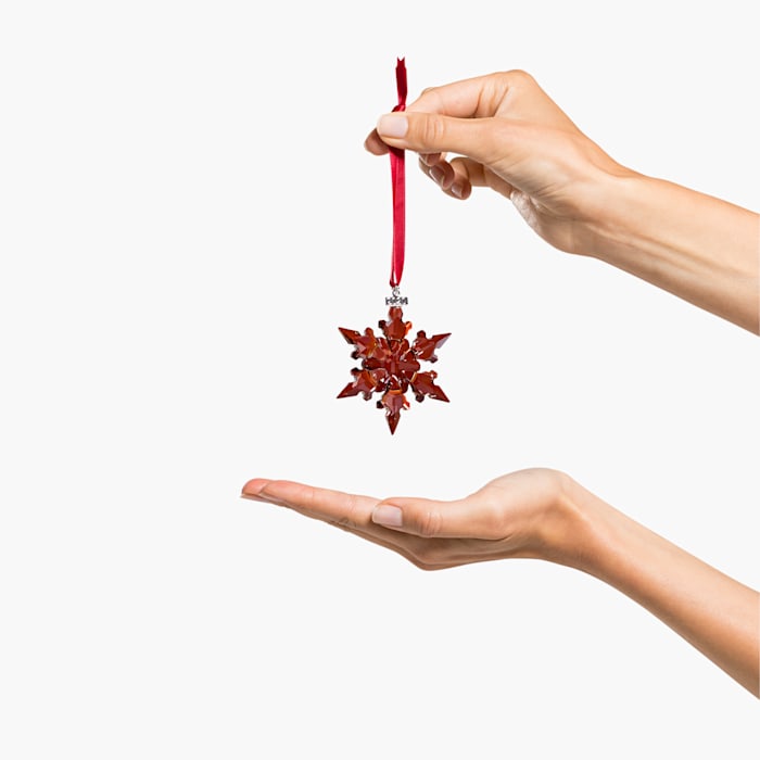 DECORAZIONE DI NATALE, EDIZIONE ANNUALE 2020 - immagine 2