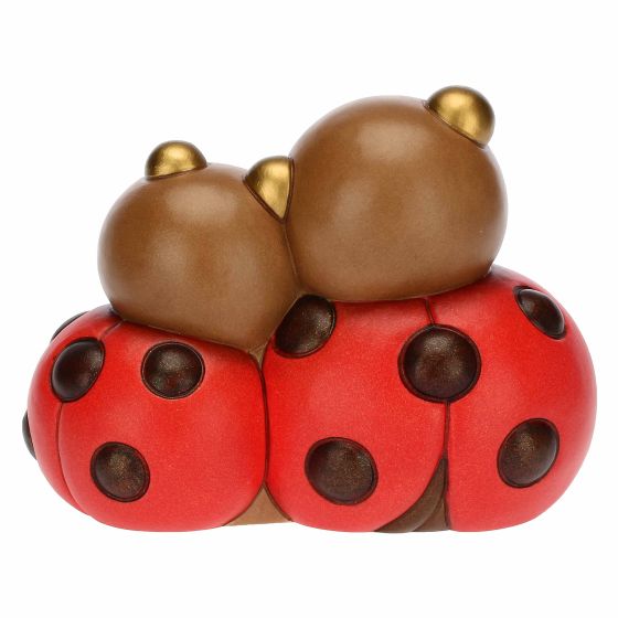 Coccinella con cuore grande - immagine 3