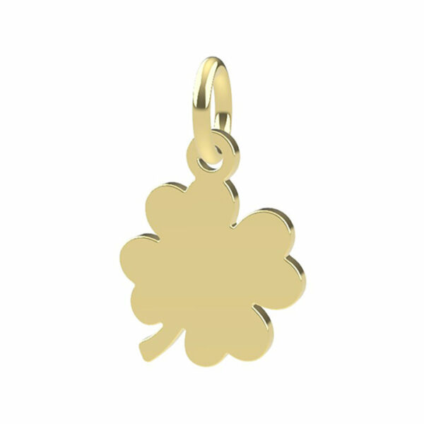 Charms fortuna